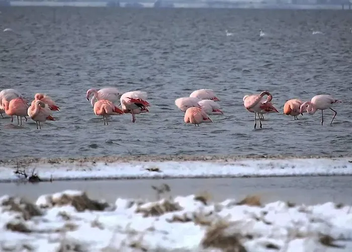 Vakantiewoning Nabij Zandstrand Vp026 Vakantiehuis *