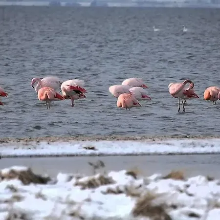 Vakantiewoning Nabij Zandstrand Vp026 펜션 *