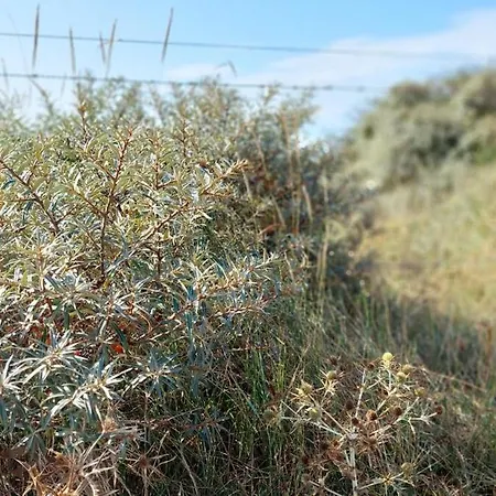 Vakantiewoning Nabij Zandstrand Vp026 우도르프