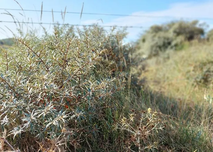 Vakantiewoning Nabij Zandstrand Vp026 우도르프